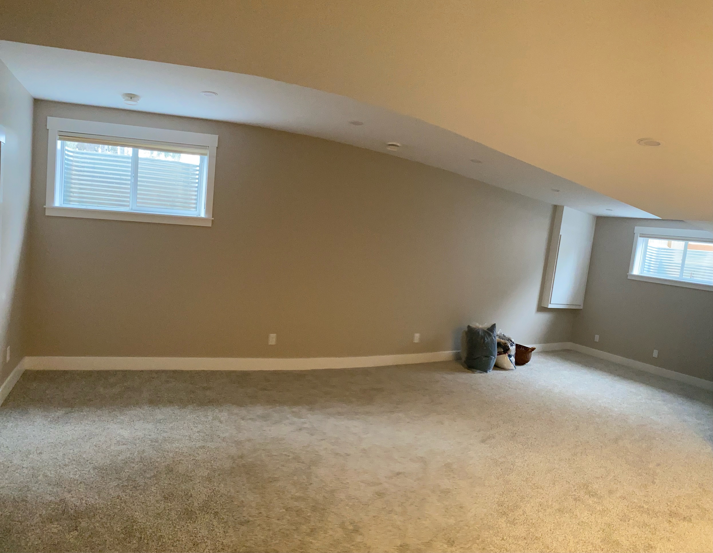 Capilano drywall ceiling and walls
